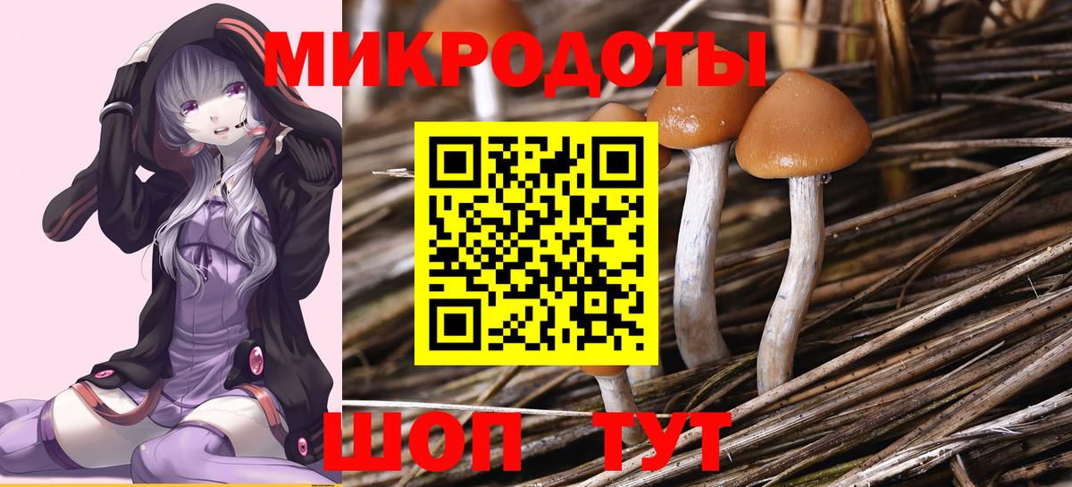 Галлюциногенные грибы MAGIC MUSHROOMS  цены   Галлюциногенные грибы GOLDEN TEACHER  Мценск  Вход с VPN 